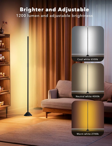 Lampada da Terra LED RGBIC Moderna DC12V 18W con Altezza Regolabile, Alta Luminosità e Telecomando Intelligente per Soggiorno e Camera da Letto - Product Image 4