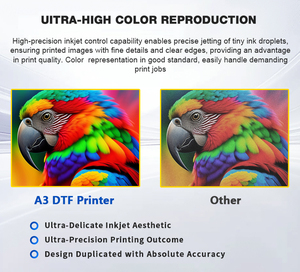Mini Impresora DTF de Escritorio XP600 Semiautomática para PET, Máquina L1800 para A1, Nueva Condición, para Pequeños Negocios, Impresión de Logotipos, Películas y Pigmentos - Product Image 6