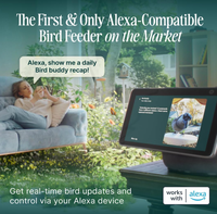 Comederos para Pájaros para Exteriores con Cámara de Observación de Aves 2K, Regalos Ideales para Navidad, Regalos para el Día del Elefante Blanco