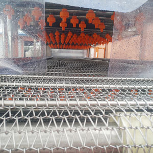 Industrial Electric Waxing Machinery Stainless Steel <b>Fruits</b> And <b>Vegetable</b> Wax Coating <b>Machine</b> - Product Image 6