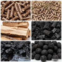 Four de séchage de biomasse à forte demande four de séchage de charbon de bois four de séchage de briquettes pour les énergies renouvelables