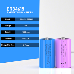 Gmcell tiểu Pin Li-SOCL2 er26500 <span class=keywords><strong>er14505</strong></span> D di động <span class=keywords><strong>3.6V</strong></span> 19000mAh er34615 pin <span class=keywords><strong>lithium</strong></span> - Product Image 3