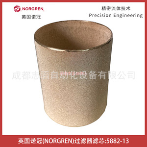 Cartucho de Filtro Norgren 5882-13 para Eliminación de Partículas Industriales con Conexión Roscada - Product Image 4