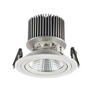 Superseptember Round Sunflower Aluminum Heatsink Fixed Ring LED Downlight COB Recessed Light 30W40W LED Down Light For Showroom