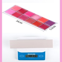 Palette de Rouge à Lèvres Crème Minérale de Haute Qualité, Maquillage Tendance, Marque Privée, Fini Mat, Longue Tenue, Imperméable, 12 Couleurs