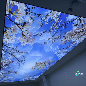 Material de decoración Interior impermeable <span class=keywords><strong>para</strong></span> el hogar, diseño de Paloma del cielo, techo elástico de plástico Pvc <span class=keywords><strong>para</strong></span> sala de <span class=keywords><strong>cocina</strong></span> - Product Image 3