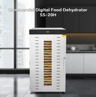 Visuele Temperatuurregeling Groente- en Fruitdroger Commerciële RVS Gedroogde Fruitmachine Huishoudelijk
