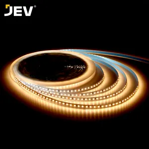 SDM2835 Led Strip Light pour chambre intérieure PRO Fournisseur Led Light Strip Dc12v 24v Led Rope Light Flexible 12neon Rope Lightr50m