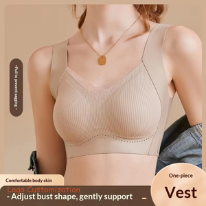 Logo Customization Ladies' Sexy Breathable Underwire-free Adjustable Anti-sagging Gathering <strong>Small</strong> <strong>Breast</strong> Shaping <strong>Bra</strong> - Product Image 1