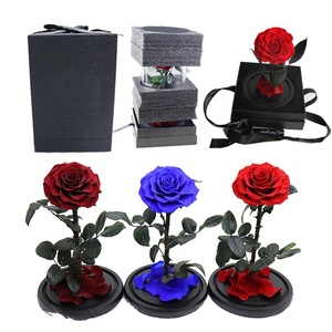Longue tige conservée roses simples vrai durable <span class=keywords><strong>jardin</strong></span> fleurs roses dans le dôme de verre avec boîte-cadeau pour noël saint-valentin - Product Image 4