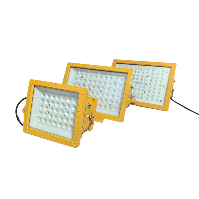 ATEX IP65/IP66 Flame Proof Portable 50W LED Explosion Proof Flood Lamp for Chemical Industry