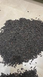 Antioxidante a base de hierbas Black Terminalia Chebula Premium Agricultura Secado al sol 2 años de vida útil Región montañosa Western Maharashtra - Product Image 6