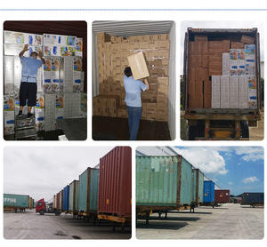 INTEX 57551 gerçekçi <span class=keywords><strong>Gator</strong></span> Ride-on şişme yalan ve oturmak, timsahların yüzmesini önlemek. Çocuk su oyuncak havuz yüzen - Product Image 6