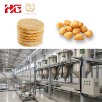 Machine industrielle de fabrication de biscuits et de craquelins de riz, ligne de transformation d'aliments de type snack, système de friture automatique en acier inoxydable