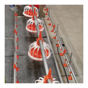 <strong>Automatic</strong> Poultry <strong>Feeder</strong> for Broiler Breeder Chicken|poultry <strong>Feeders</strong> and Drinkers - Product Image 5