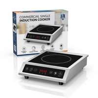 Kompor Induksi Komersial Daya Tinggi 3500W, Kompor Listrik Stainless Steel, Kontrol Sentuh, YLM-915R