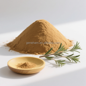 <span class=keywords><strong>Gmp</strong></span> chứng nhận cấp thực phẩm Lâm suốt-sức mạnh Hương thảo lá chiết xuất 2.5% 65% có thể điều chỉnh rosmarinic axit nội dung bột hình thức - Product Image 2