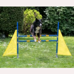 Salto de ala de agilidad de acero para perros Equipo de <span class=keywords><strong>entrenamiento</strong></span> de mascotas para obstáculos Salto de ala de metal para carreras de obstáculos caninos - Product Image 5