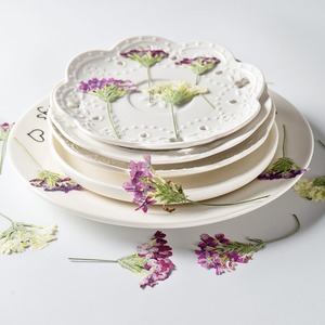 <span class=keywords><strong>Verveine</strong></span> Avec Branches Fleurs Séchées Fleurs Pressées Vraies Feuilles Plantes Signets Pétale Maquillage Fleurs Pressées - Product Image 2