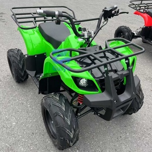 <span class=keywords><strong>Quad</strong></span> à 4 roues automatique pour adultes, 200 CC, transmission par chaîne, tout-terrain, buggy de plage, puissant, couleur personnalisée - Product Image 2