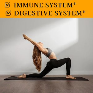 Gomitas de Probióticos con Fibra ODM OEM con Sodio, Apoyan un Intestino Más Equilibrado, Fortalecen la Inmunidad, Calorías, Gomitas de Probióticos con Fibra - Product Image 5