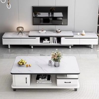 Vente d'usine Meuble TV de luxe léger Salon Table basse nordique Combinaison de meubles de salon