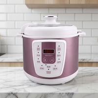 Autocuiseur Électrique GB-PC500A 6L 800W avec Boîtier en Acier Inoxydable, Cuve Intérieure en Fer-Aluminium, Utilisation Domestique, Cuiseur Vapeur, Cuillère et Mesureur