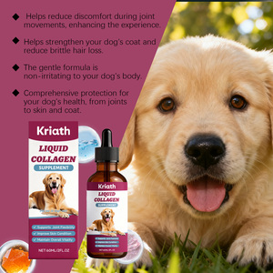 Collagène liquide pour chien en vrac 60 ml, vitamine C, acide hyaluronique, brillance du pelage, soutien articulaire et osseux, complément alimentaire, vente en gros directe d'usine - Product Image 5