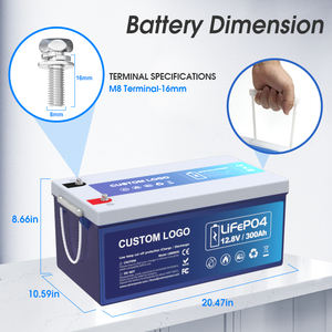 LifePo4 12V Energieopslagbatterij 24V 48V 50Ah 100Ah 200Ah 300Ah 460Ah Lithium IJzerfosfaat LifePo4 Batterij Met BMS - Product Image 3