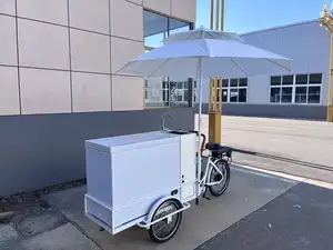 Factory Directly Supply 3 Wheel Electric Bike Ice Cream Cart Mobile Ice Cream Bikes