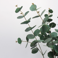 Haute qualité Real Touch Latex longue tige Eucalyptus feuilles artificielles longues tiges fleurs pour mariage ou décor de noël