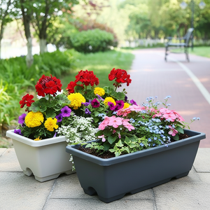 Nouveau Bac de plantation rectangulaire en plastique épaissi, simple, respirant et translucide, <span class=keywords><strong>pour</strong></span> balcon familial, idéal <span class=keywords><strong>pour</strong></span> les fleurs - Product Image 4