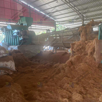 Machine efficace d'extraction de fibres de noix de coco, décortiqueuse/défibreuse de coques de noix de coco, extracteur de fibres de coco