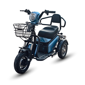 Triciclo Elettrico Holladay 500W, Scooter Elettrico a <span class=keywords><strong>3</strong></span> <span class=keywords><strong>Ruote</strong></span>, Controller a 12 Tubi, E-bike a 2 Posti per Adulti e Anziani, Autonomia 40km - Product Image 3