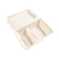 Milieuvriendelijke Wegwerp Bagasse Pulp Clamshell Maaltijddoos, Rechthoekige Of Vierkante Natuurlijke/Witte Bagasse Burger Doos Voor Afhaalmaaltijden