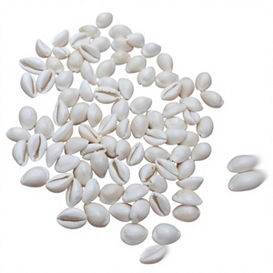 Coquillages de cauris blancs naturels pour la fabrication de bijoux et l'artisanat, vente en gros de perles de cauris, MOQ 20 - Product Image 1