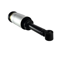 OEM RNB501580 RNB501250 Jambe de force pneumatique pour L320 Suspension pneumatique avant Range Rover Sport L320 Suspension pneumatique Amortisseur