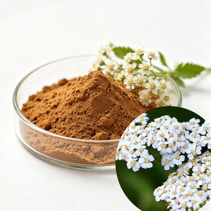 Extrait de fleur de camomille en poudre 10:1, vente en gros d'usine - Product Image 1