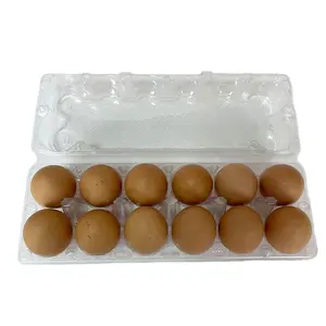New Product 221 Bird 150 Egg Trays Molds For Hatching