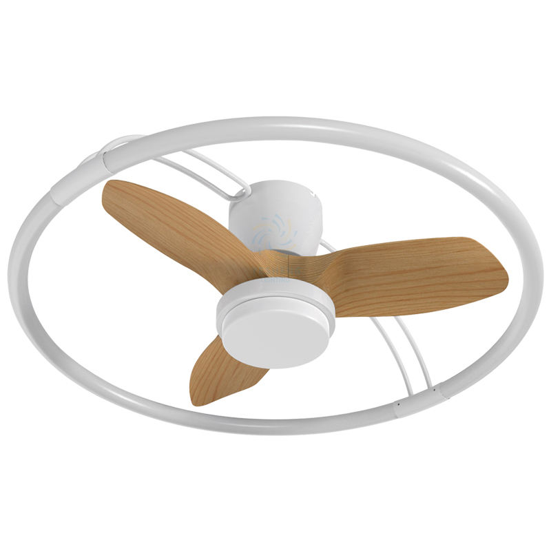 ขาว + เม็ดไม้