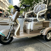 Kart à pédales tout-terrain électrique robuste 750W 48V 20Ah pour adultes, course en plein air et loisirs