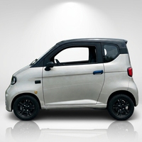 Berline électrique haut de gamme homologuée WVTA, vitesse maximale 25 km/h, 100 ch, conduite à droite pour adultes, porte-bagages métallique simple sur le toit