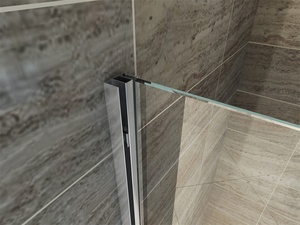 Phòng Tắm Phòng Tắm Kính Mờ Trượt Được Đánh Bóng - Product Image 4