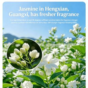 Thé vert au <span class=keywords><strong>jasmin</strong></span> 100 % pur en vrac, emballage personnalisé, prix d'usine, échantillon gratuit pour les distributeurs de thé - Product Image 2