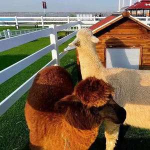 <span class=keywords><strong>Kit</strong></span> de clôture équestre de ferme de cheval en vinyle Durable économique longueur réglable nouvel équipement d'élevage d'animaux - Product Image 5