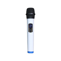 Microphone portable sans fil Bluetooth professionnel WMP-U20 pour karaoké