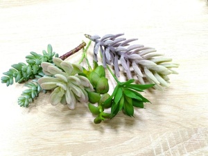 <span class=keywords><strong>Pas</strong></span> cher en gros réaliste faux unpotted mini <span class=keywords><strong>plantes</strong></span> artificielles succulentes assorties 16 pièces pour la décoration de jardin - Product Image 4