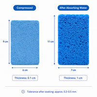 Foamstar 6 PACK Éponge en cellulose compressée biodégradable 100% végétale pour le nettoyage de la vaisselle en cuisine