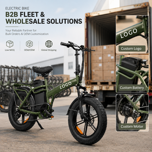 Bicicleta Eléctrica de Carga OEM con Neumático Grueso de 20 Pulgadas, Motor Trasero de 48V 250-1000W, 7 Velocidades, Cuadro de Acero, Freno de Disco, para Desplazamientos Urbanos - Product Image 1