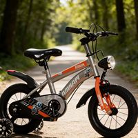 Bicicleta Infantil de Una Velocidad, Embalaje en Caja AB, Horquilla de Acero, Opción Popular para Niños Más Pequeños